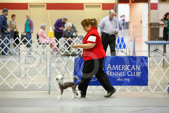 _JJ_2043-AmarilloSept2014-HR3
