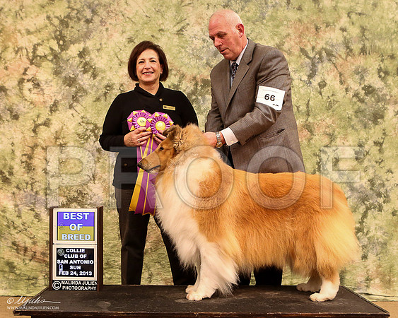 SCol-0429-LR