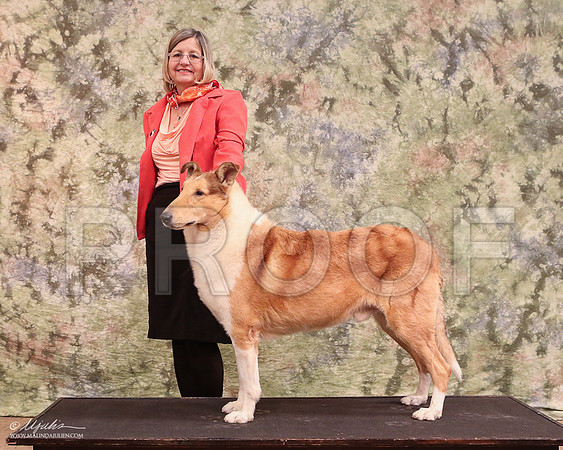CCL_0282-LR