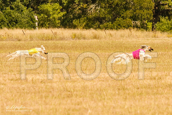 _MJ_5555-AfgBeltonOct2014-HR3