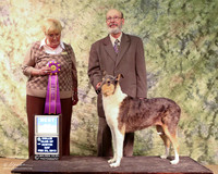Smooth Collie Sat BOB Tina & Larry Patterson Judge Martha Ramer LR Collie Specialty Georgetown Feb 2013