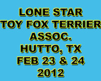Lone Start TFT Assoc. Hutto Feb 2013