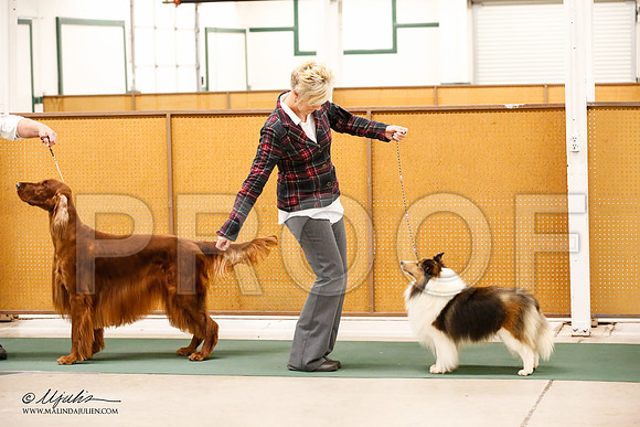 _JN_2040-NrmnNov2014-HR3