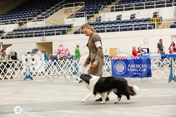 _JJ_8982-AblnMay2014-web