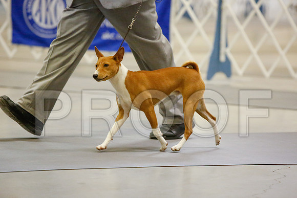 _JJ_3506-AmarilloSept2014-HR3