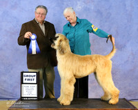 Afghan Hound Sun G1 Linda King Judge JD McNutt LR Hutto Feb 2013