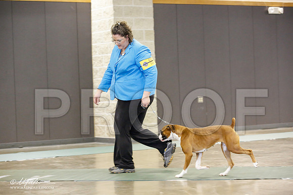 _JN_1650-BeltonJan2015-HR3