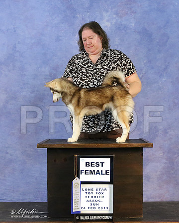 kleekai-6739-LR