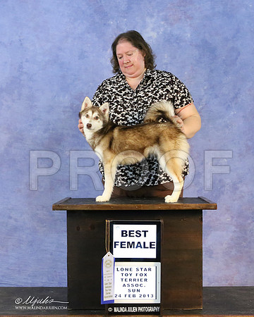 kleekai-6741-LR