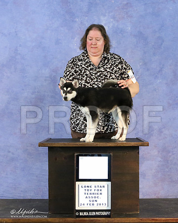kleekai-6799-LR