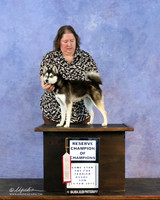 Alaskan Klee Kai Sun Reserve Champion Shiela Sweet LR Hutto Feb 2013