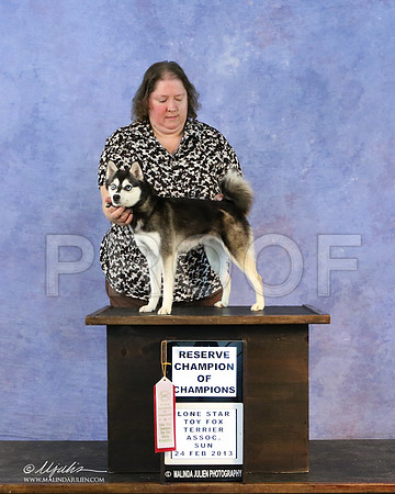 kleekai-6755-LR