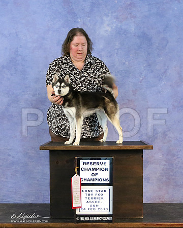 kleekai-6758-LR