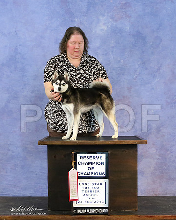 kleekai-6761-LR