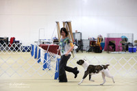 American Bulldog Sun S2 Ring LR Hutto Feb 2013