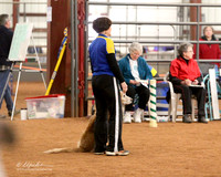 Sat Fast Exe 16 McKinney Mar 2012