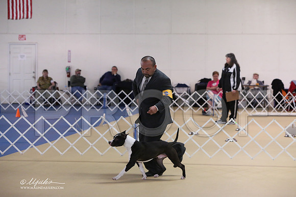 APBT-2332-LR