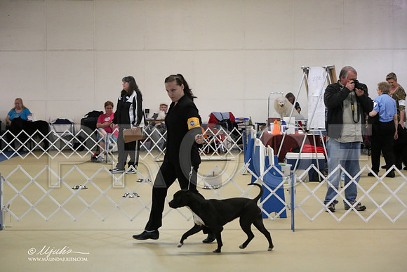 APBT-2333-LR