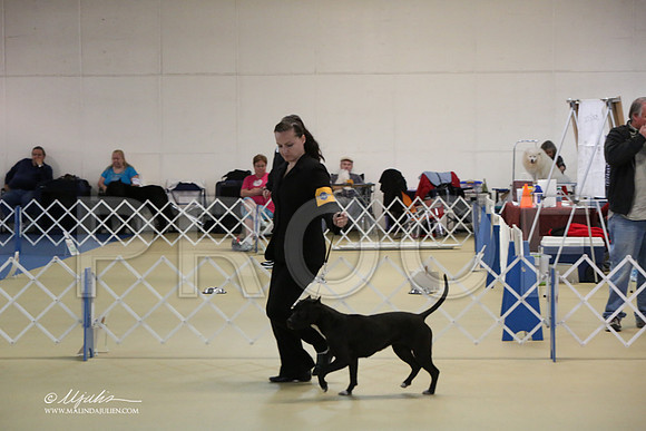 APBT-2334-LR