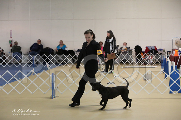 APBT-2335-LR