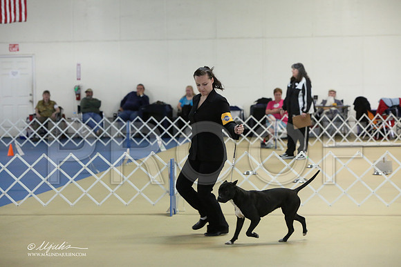 APBT-2336-LR