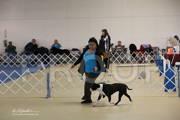 APBT-2340-LR