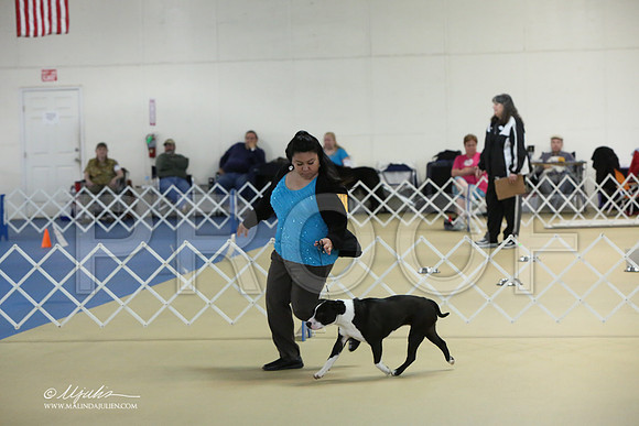 APBT-2342-LR