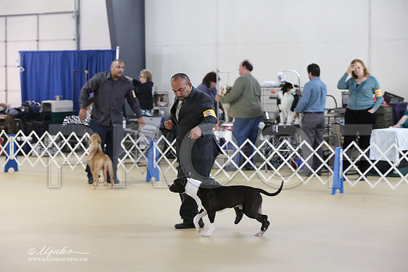 APBT-2343-LR