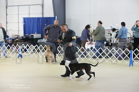 APBT-2344-LR