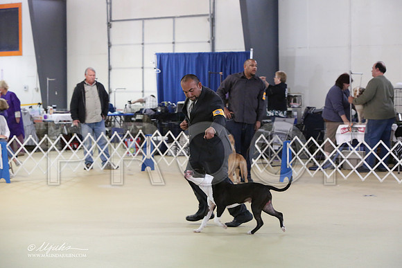 APBT-2346-LR