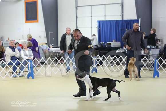 APBT-2348-LR