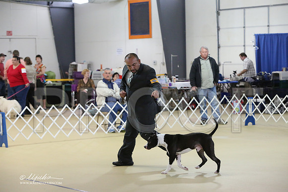 APBT-2351-LR