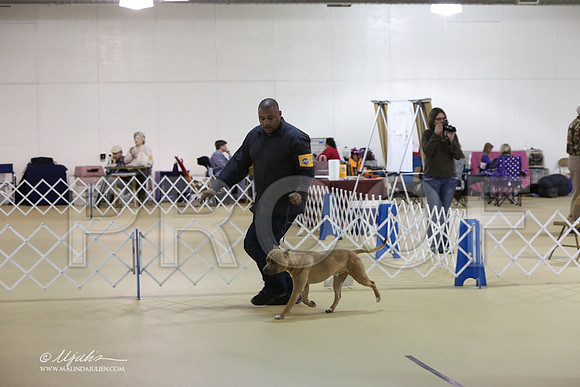 APBT-5893-LR