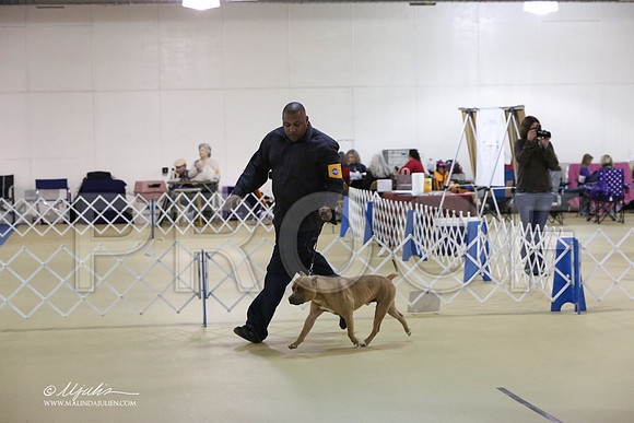 APBT-5894-LR