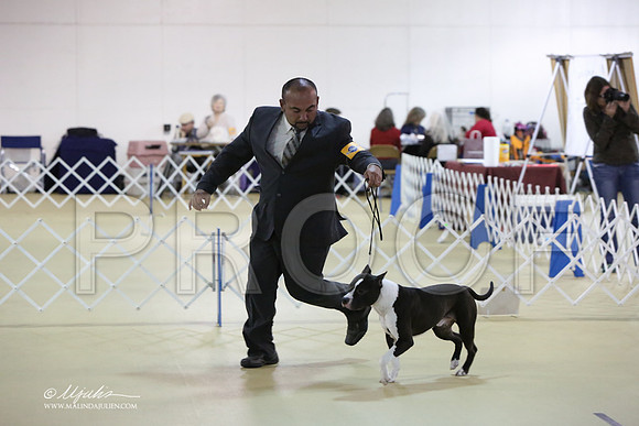APBT-5908-LR