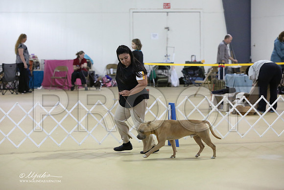 APBT-0715-LR