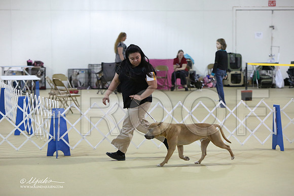 APBT-0718-LR