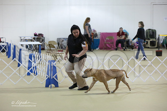 APBT-0719-LR