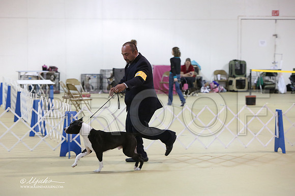 APBT-0723-LR