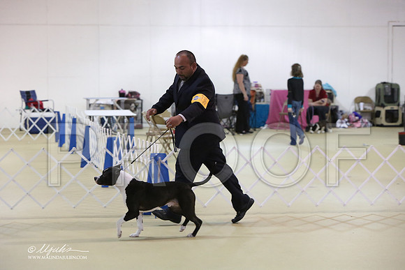 APBT-0724-LR