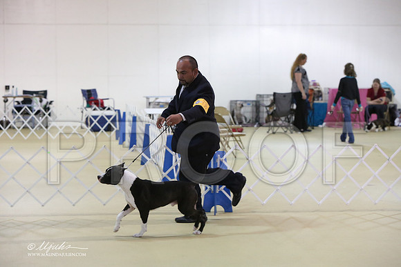 APBT-0725-LR