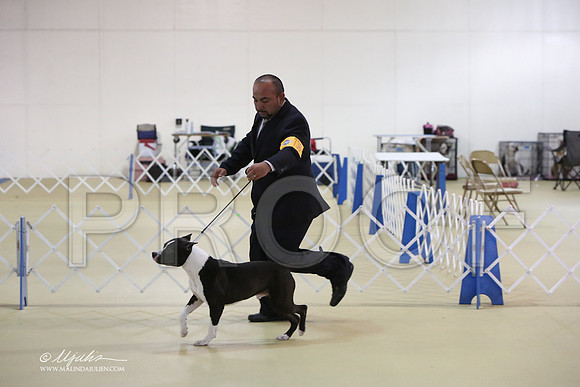APBT-0727-LR