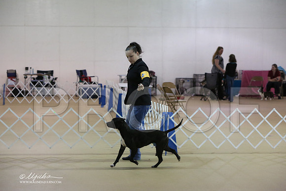 APBT-0730-LR