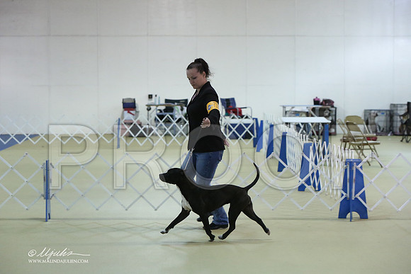 APBT-0732-LR