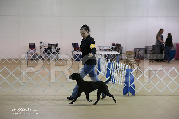 APBT-0731-LR