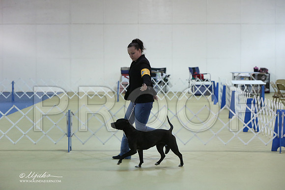 APBT-0733-LR