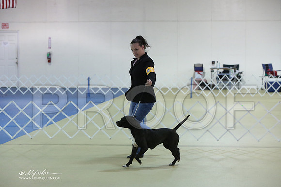 APBT-0735-LR
