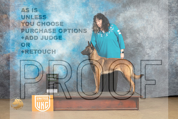 Belgian Malinois #1128 Sun G3 Judge Rick Gann_MJ_9778_UKCLvwfeb23_HR3