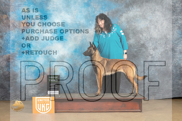 Belgian Malinois #1128 Sun G3 Judge Rick Gann_MJ_9779_UKCLvwfeb23_HR3