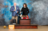 Cardigan Welsh Corgi #315 Sun PBOB Judge Rick Gann